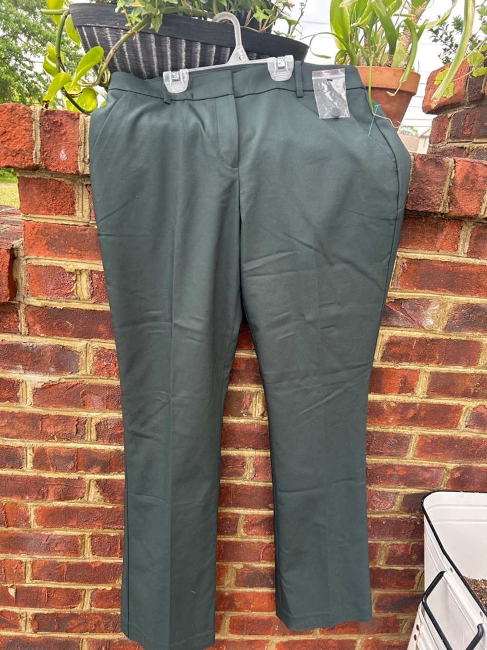 🔥Express pants
